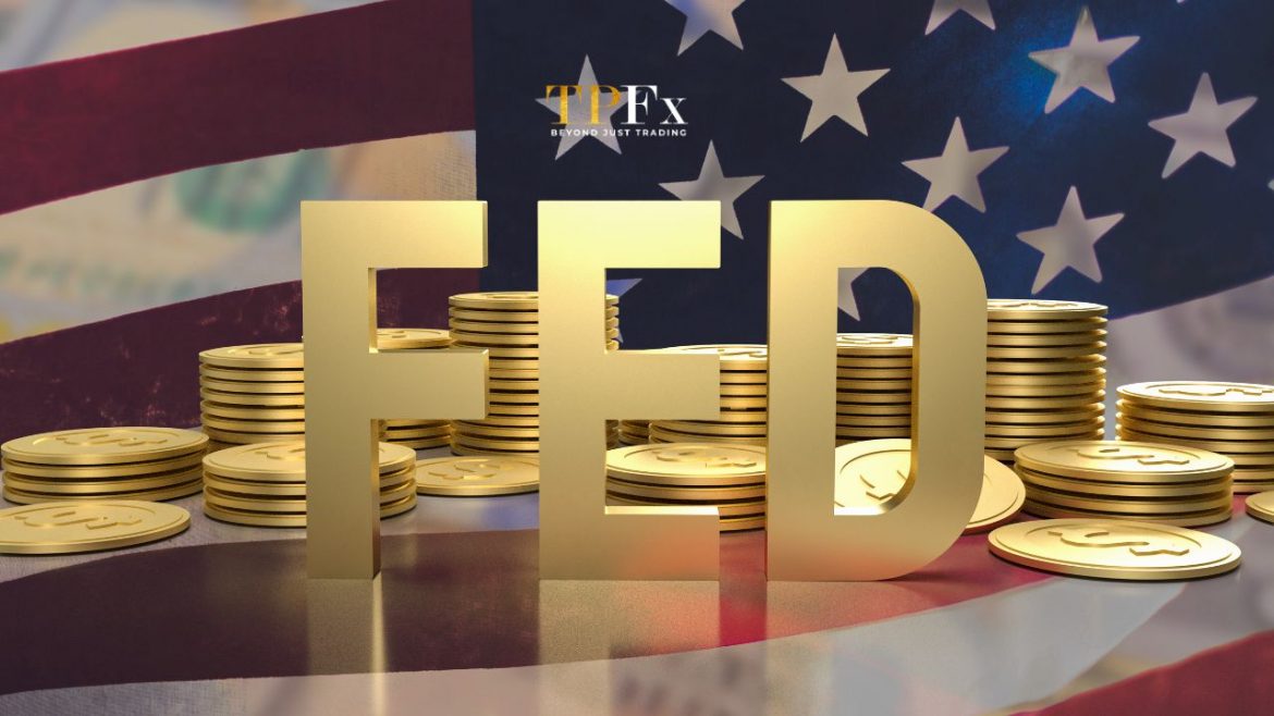 fed fed