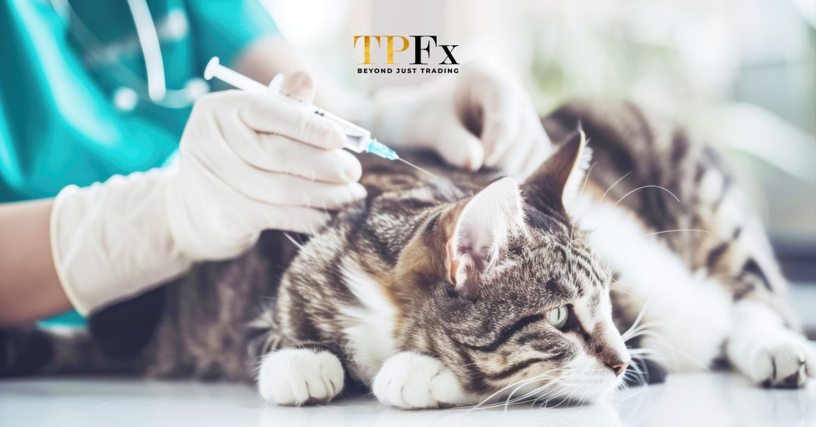 biaya vaksin kucing biaya vaksin kucing