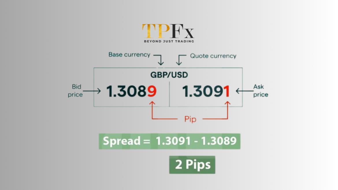 Pip Point Tick Pip Point Tick