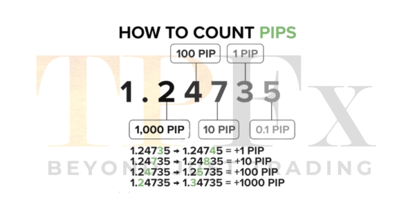 Menghitung Pips Forex dan Gold