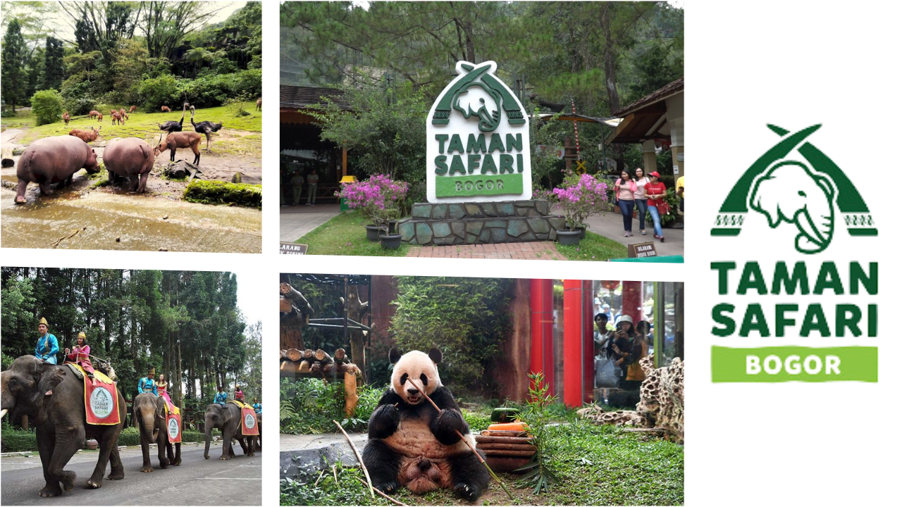 taman safari bogor