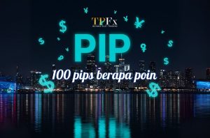 100 pips berapa poin