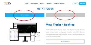 Metatrader Platform TPFx